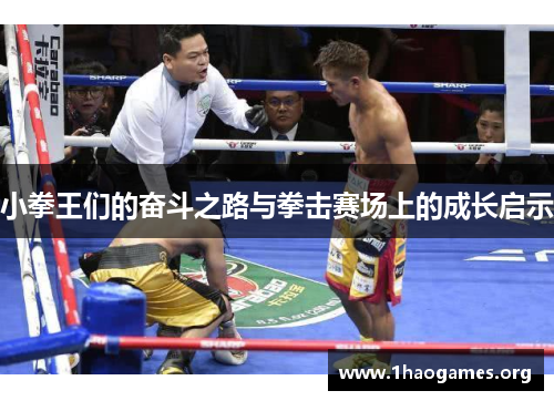 小拳王们的奋斗之路与拳击赛场上的成长启示 小拳王们的奋斗之路与拳击赛场上的成长启示
