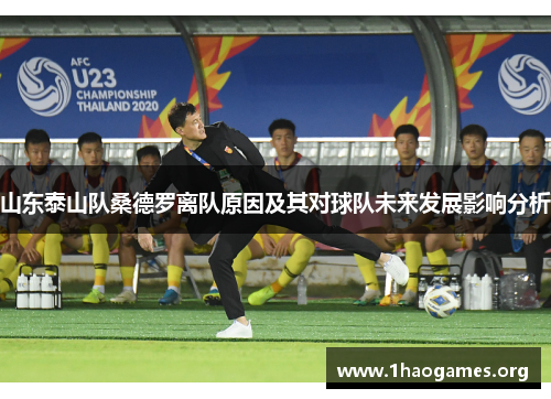 山东泰山队桑德罗离队原因及其对球队未来发展影响分析